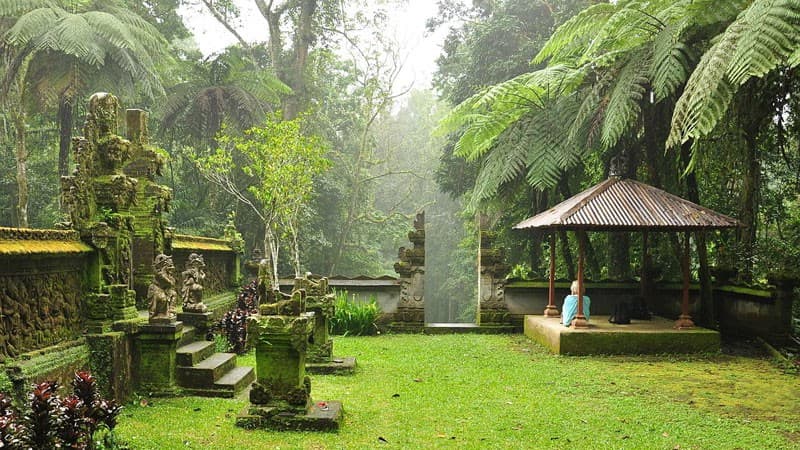Bali Botanical Garden
