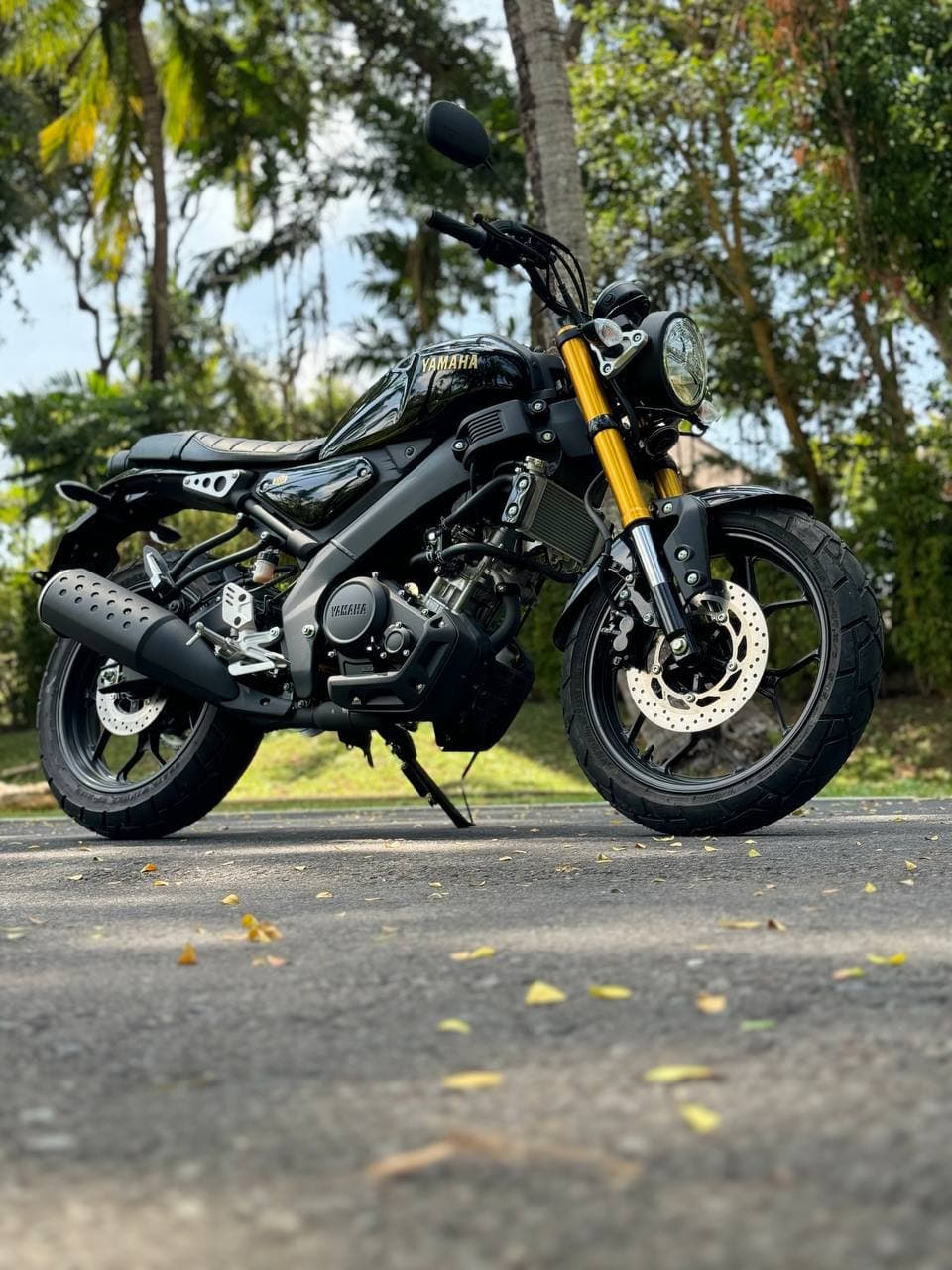 Yamaha XSR 155